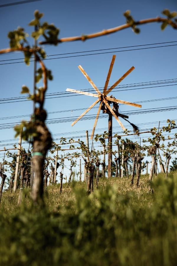 Wohnen Beim Wein Tschermonegg Hotel