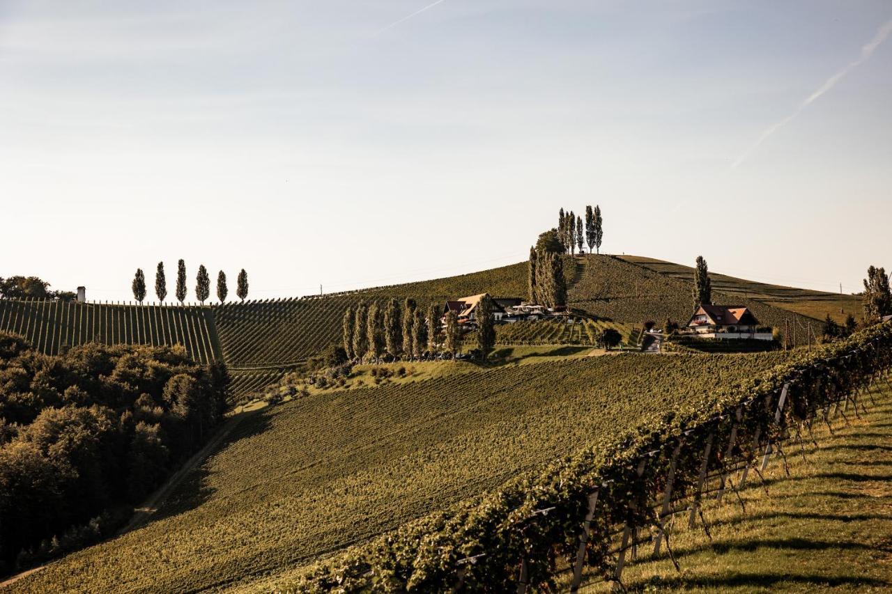 Hotel Wohnen Beim Wein Tschermonegg *