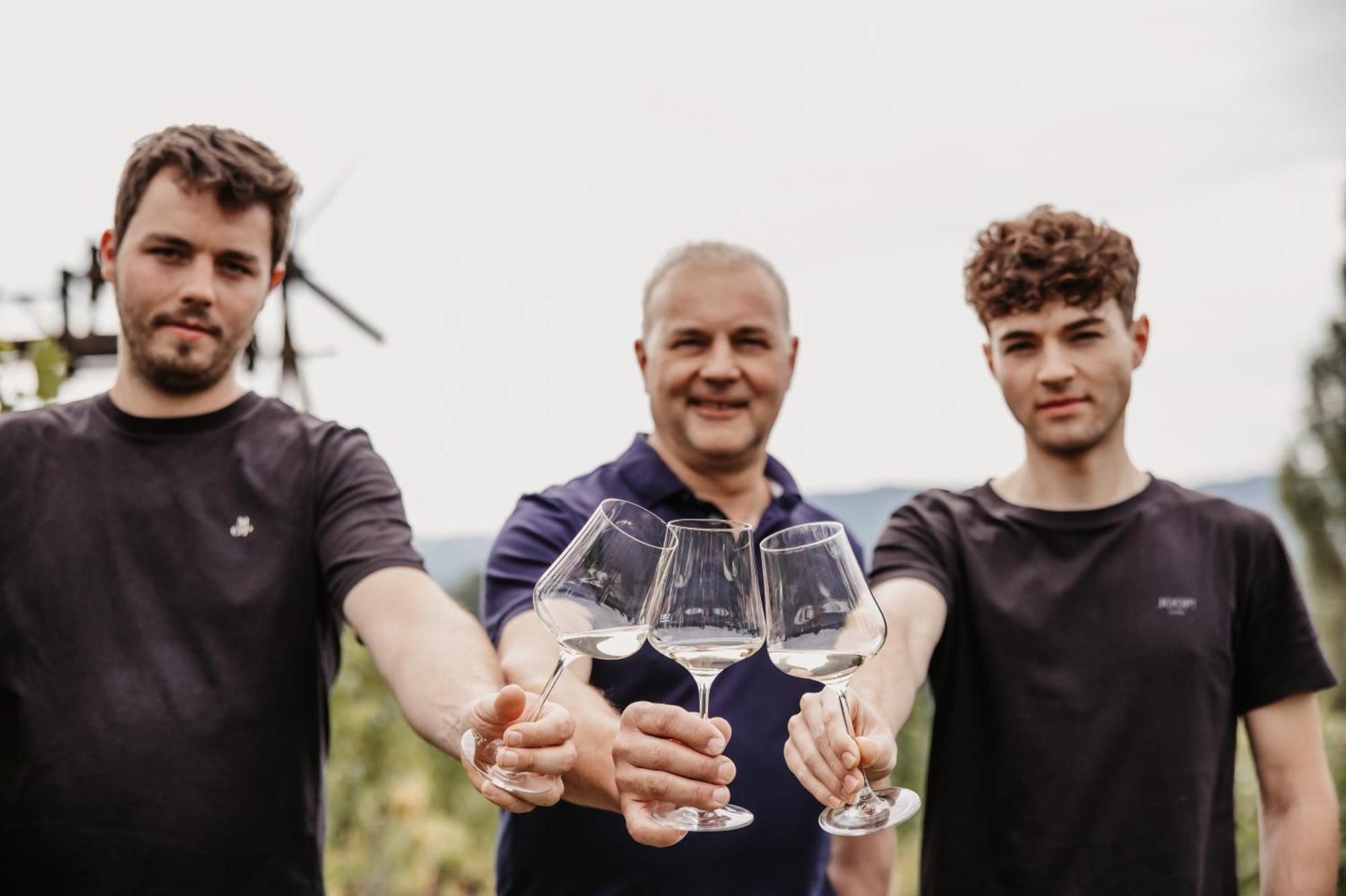 Wohnen Beim Wein Tschermonegg *