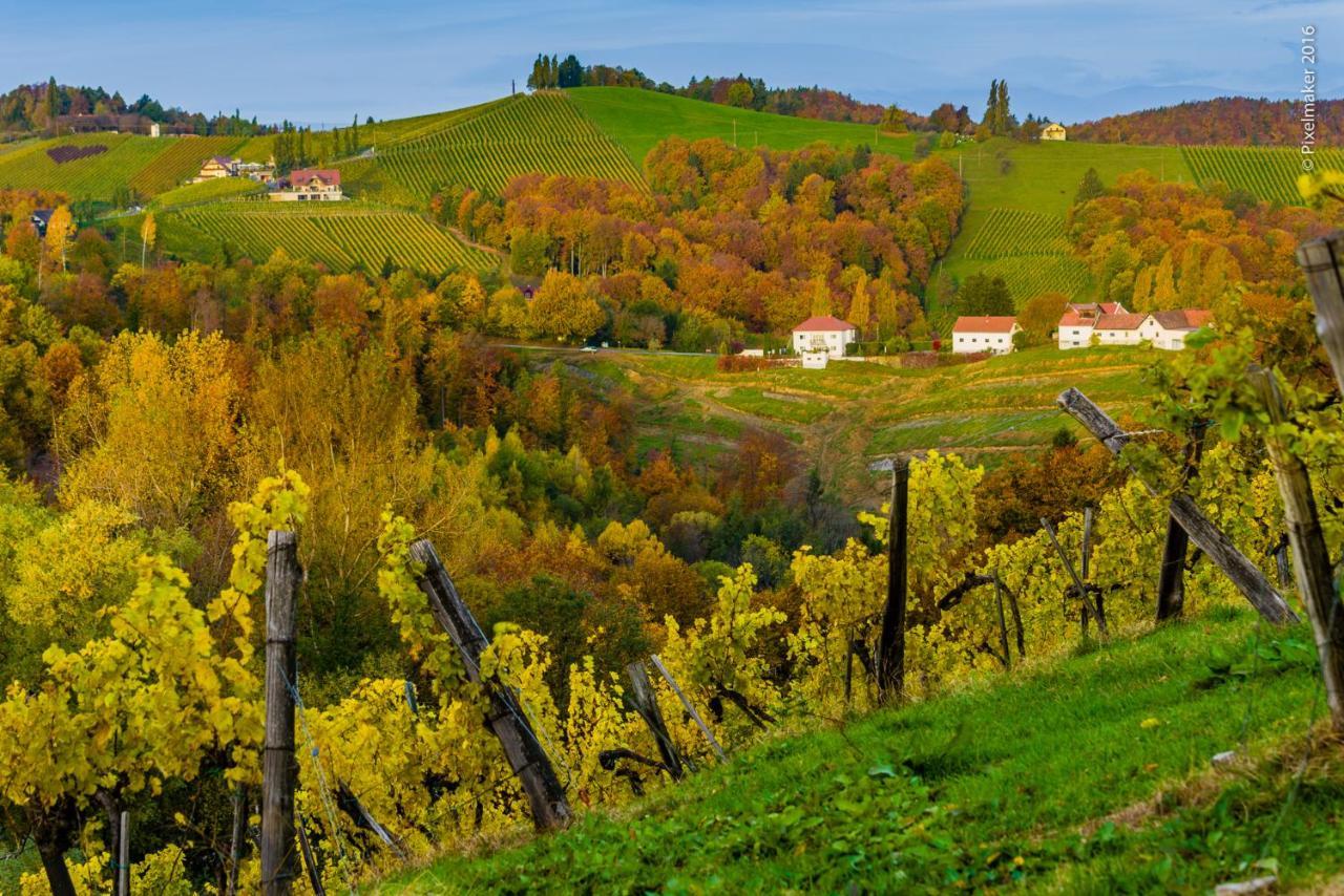 Wohnen Beim Wein Tschermonegg Hotel *