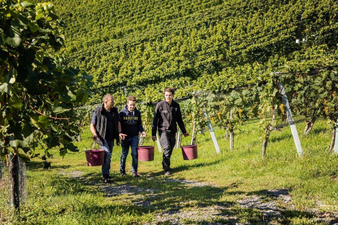 Wohnen Beim Wein Tschermonegg Eckberg